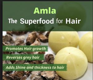 Can Amla Helps Prevent Hair Fall? - Ayusmart's Guide to Healthcare Sucess